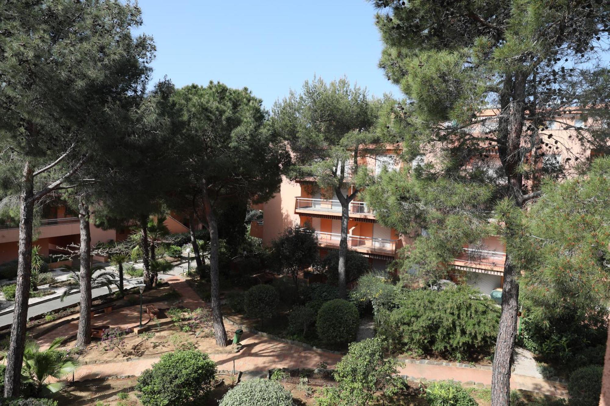 L'Amiraute 150M De La Plage Bormes-les-Mimosas Eksteriør billede